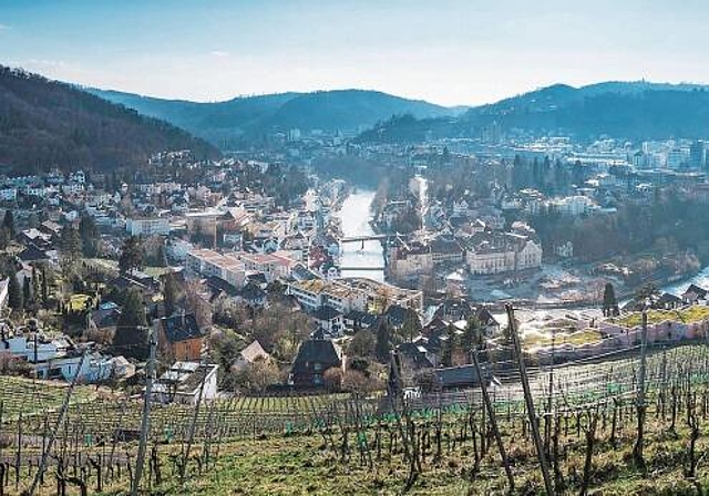 Der Verband Baden-Regio setzt sich für verschiedene gesellschaftliche, wirtschaftliche und ökologische Themen in der Region ein. Er feiert dieses Jahr das 75-jährige Bestehen und möchte dieses Jubiläum mit der ganzen Bevölkerung teilen. zVg
