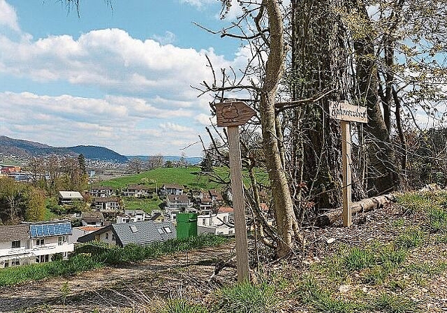 Forstwart-Lernender Leandro Righetti entfernt vor dem Franzosenweiher eine Informationstafel des Waldlehrpfads. (Bild: Melanie Bär)