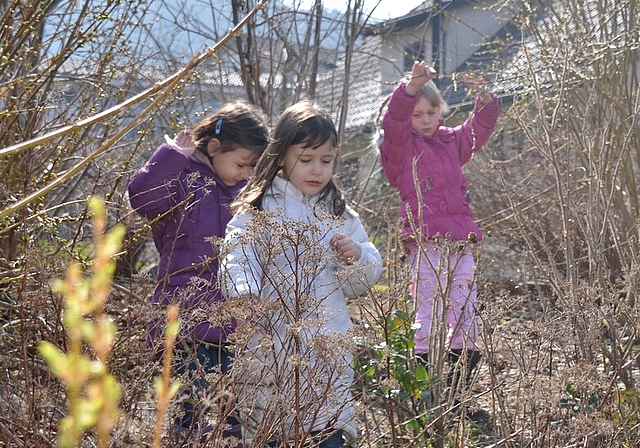 Mit grossem Eifer suchten die Kinder auch im dichten Gestrüpp. Fotos: sw
