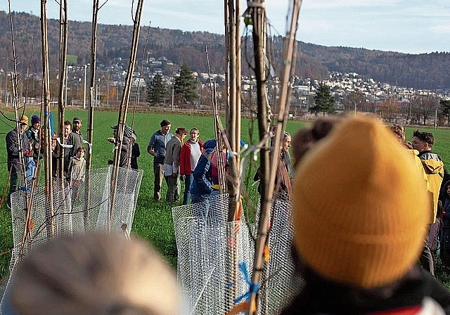 Agroforst Sie halfen mit, Bäume und Hecken zu pflanzen.zVg/Biohof Fondli
