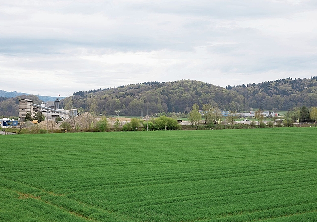Auf dieser Grundfläche könnte Hitachi seinen Campus ansiedeln. Severin Bigler