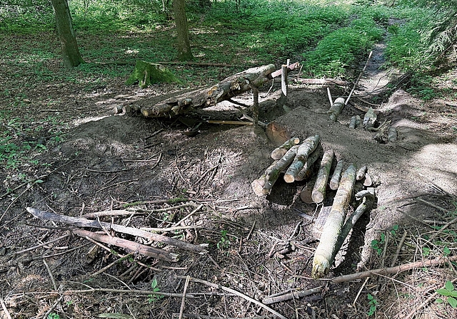 Illegal erstellte Schanze in der Gemeinde Remetschwil, die zum Forstrevier Heitersberg gehört. zVg