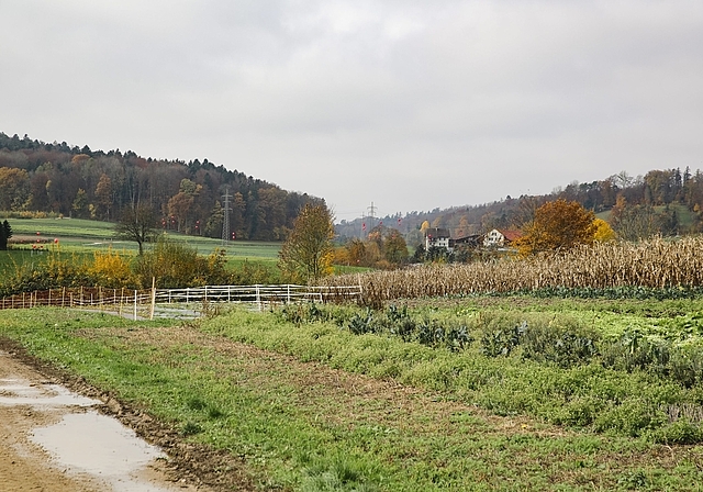 Die Deponie Steindler soll zwischen Würenlos und Otelfingen gebaut werden. zVg