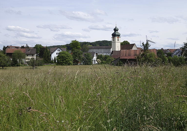 Auf der Zentrumswiese soll das Alterszentrum zu stehen kommen. (AZ Archiv)
