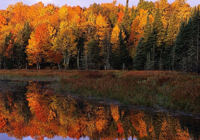 Den Herbst von seiner schönsten Seite erlebt man beim Wandern. Foto: zVg