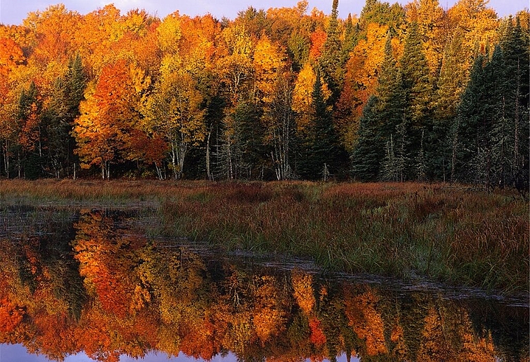 Den Herbst von seiner schönsten Seite erlebt man beim Wandern. Foto: zVg