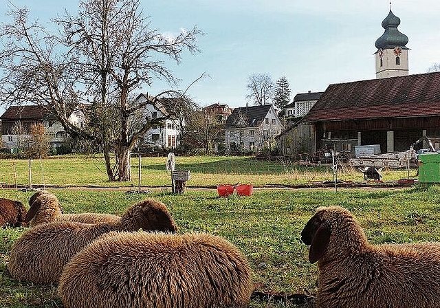 2013 haben die Würenloser Stimmbürgerinnen und Stimmbürger entschieden, dass das Alterszentrum auf der Zentrumswiese gebaut wird. Nun wird dieser Entscheid wieder infrage gestellt. Melanie Bär