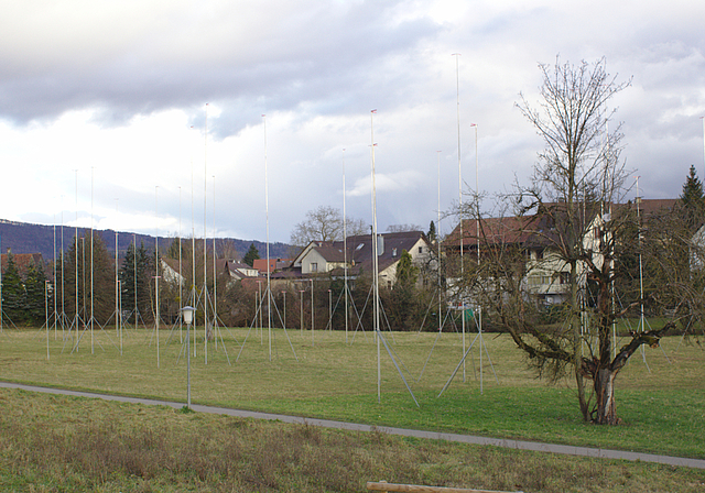 Das Alterszentrum Margerite soll auf der Zentrumswiese gebaut werden. Rahel Bühler/ Archiv