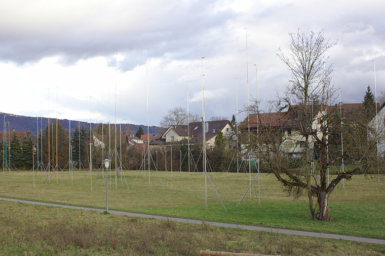 Das Alterszentrum Margerite soll auf der Zentrumswiese gebaut werden. Rahel Bühler/ Archiv