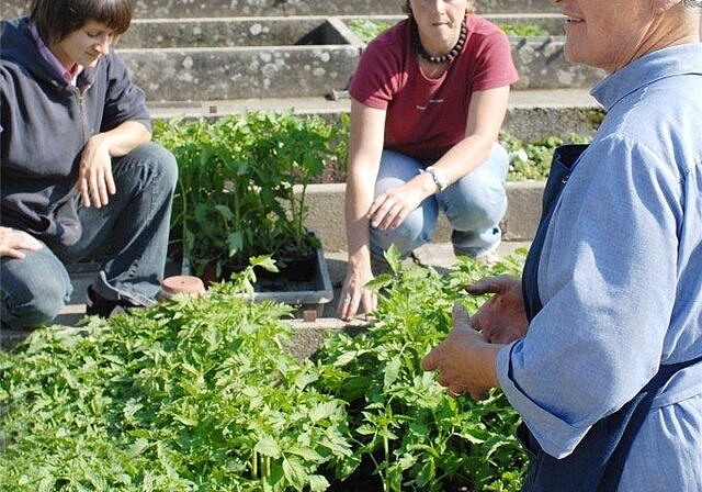 Schwester Beatrice, die passionierte Gärtnerin, gibt ihren Erfahrungsschatz im Gartenbau weiter. Foto: zVg
