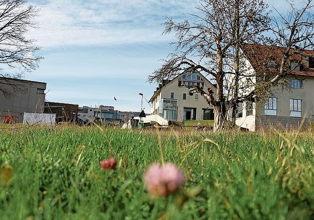 Der Standort Zentrumswiese ist bestätigt, das Baurecht erteilt. Melanie Bär/Archiv