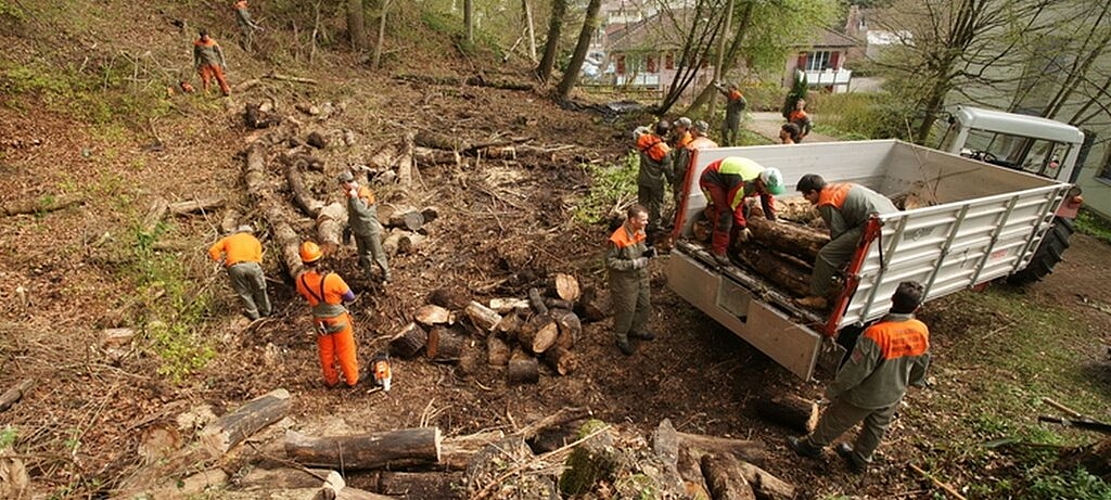 Bei der Sandsteinhöhle der alten Ziegelei Spreitenbach waren 15 Mann damit beschäftigt, die illegal entstandene Gründeponie zu entfernen.
