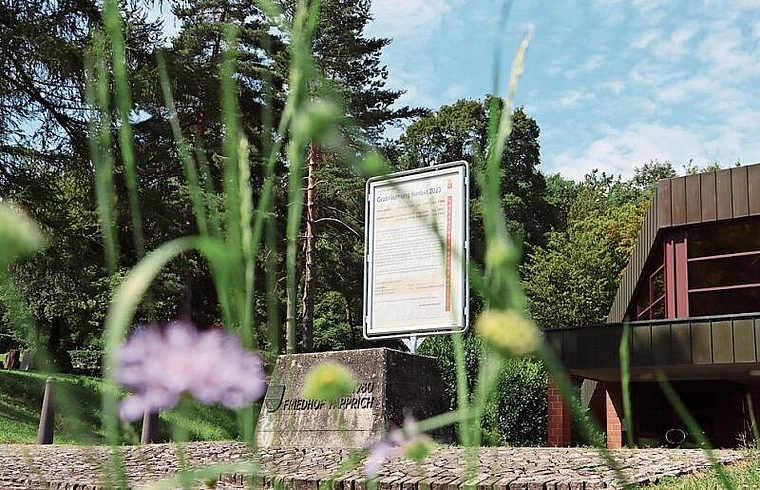 Auf dem Friedhof Papprich werden im Herbst mehrere Grabfelder geräumt. (rfb)