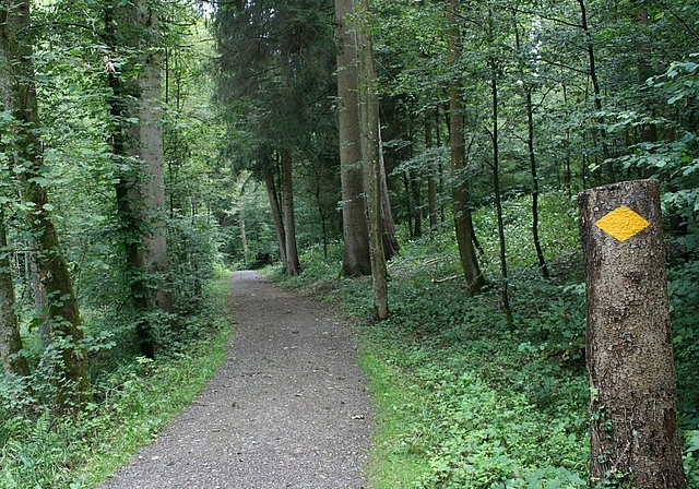 Zur Sicherheit der Wanderer und Spaziergänger sperrt das Forstrevier Heitersberg Waldstrassen rund um die Holzereiarbeiten ab. Foto: ska/Archiv