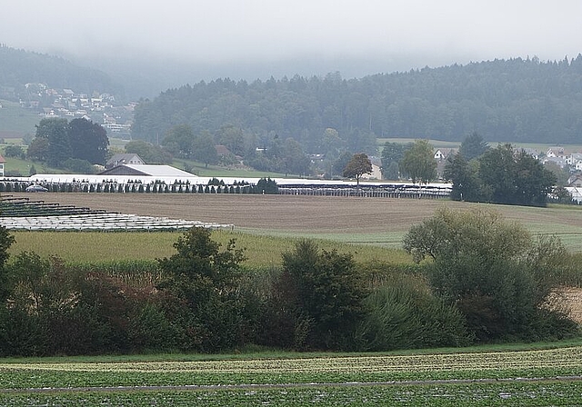 Im Gebiet Steindler in Würenlos ist eine Deponie für sauberen Aushub geplant. Das Areal liegt an der Grenze zum Kanton Zürich. Dieter Minder