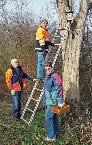 Teamarbeit: Hansruedi Aeschbach, Peter Spring und Georg Zimmermann (v. l.).  zVg