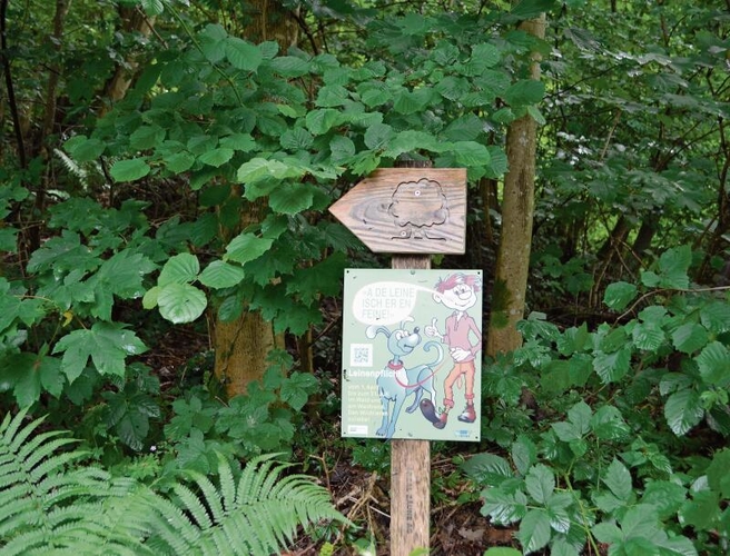 Immer der Baumtafel entlang gehts auf dem Waldlehrpfad. ihk