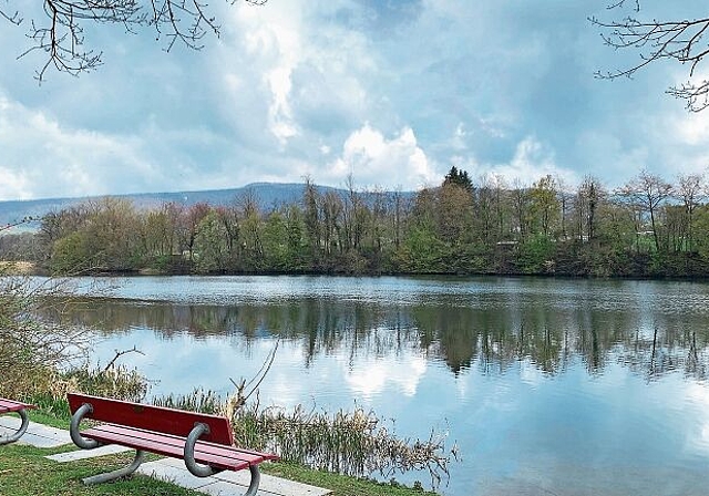 Der Limmatsteg soll am Limmatuferweg in Neuenhof im Jahr 2025 gebaut werden. (Bild: Sibylle Egloff)