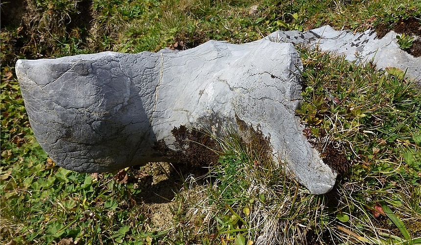 ... und sie schreibt der Redaktion: «Wir waren auf der Melchsee-Frutt und haben diesen lässigen Stein entdeckt. Sieht doch einer Schildkröte sehr ähnlich!»
