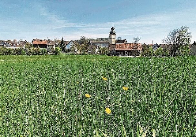 Das Alterszentrum soll auf dem nordwestlichen Teil der Zentrumswiese (vorne im Bild) gebaut werden, so der Wille der Standortkritiker. (Bild: Melanie Bär)