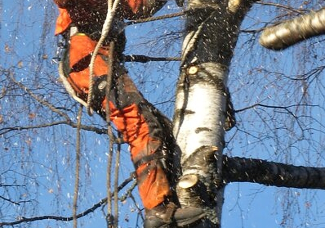 Die Holzschläge in Killwangen finden in den Gebieten Aemmet und Häuli statt.Foto: az/Archuîv
