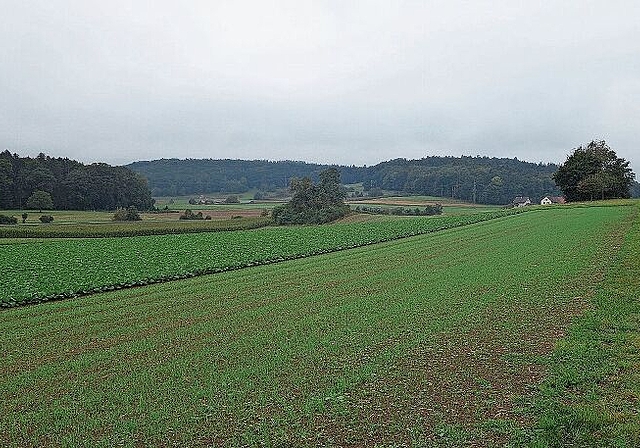 Die Deponie für sauberen Aushub soll im Würenloser Gebiet Steindler zustande kommen. Es liegt nordöstlich des Dorfkerns. Die Erschliessung würde via Furttalstrasse funktionieren.  Dieter Minder/ Archiv