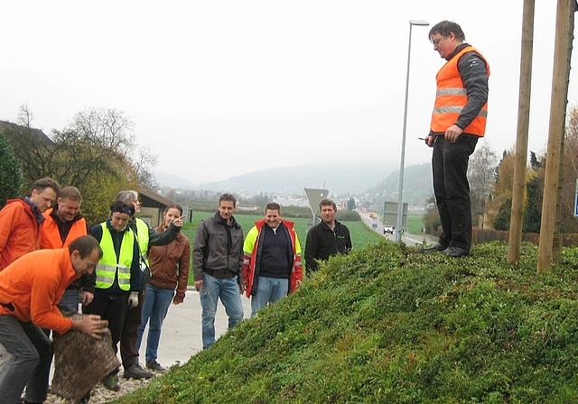 Die Würenloser Gewerbler mit Gemeinderat Toni Möckel (l.) leisten Frondienst und gestalten den Kreisel.Foto: nb
