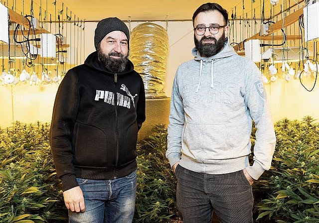 Die beiden CBD-Produzenten Patrik Turner aus Wettingen (links) und Momcilo Obradovic aus Baden. (Bild: Severin Bigler)