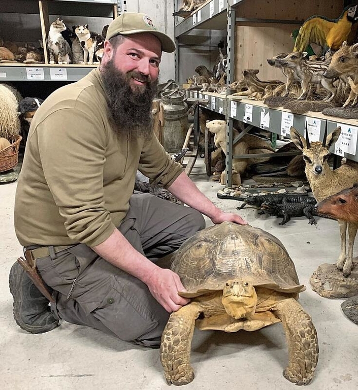 Einige Tiere hat Walter Benz selbst präpariert, etwa diese Schildkröte. Sibylle Egloff