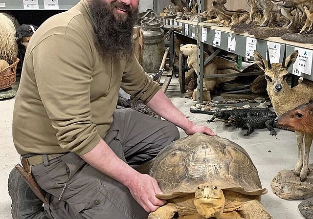 Einige Tiere hat Walter Benz selbst präpariert, etwa diese Schildkröte.  Sibylle Egloff