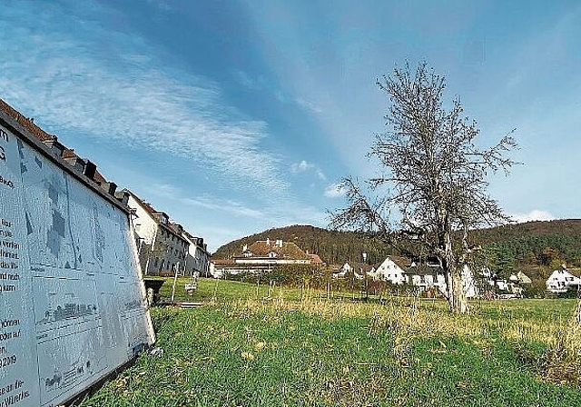 Das Baurecht auf dieser Parzelle der Zentrumswiese soll gewährt werden. Melanie Bär