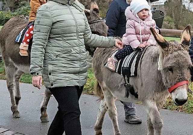 Die Kleinsten beim Eselreiten ... (Bilder: Gaby Kost)
