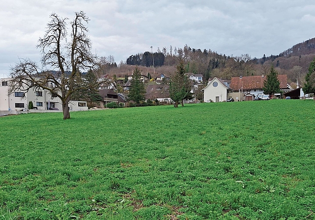 Hier sollen die Häuser mit 75 Wohnungen zu stehen kommen. Irene Hung-König