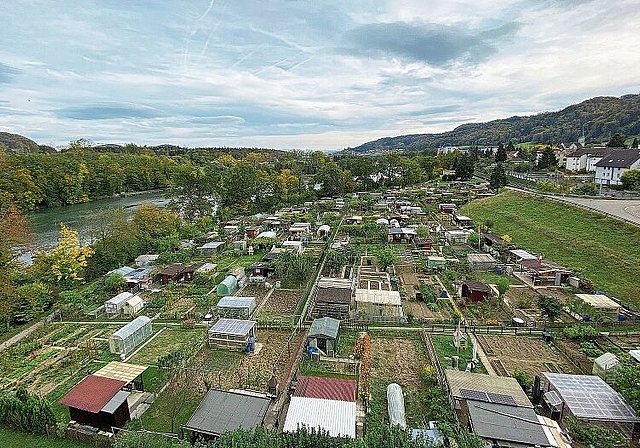 Diese Familiengärten im Gebiet Härdli stehen auf dem Land der Ortsbürger. (Bild: Melanie Bär)