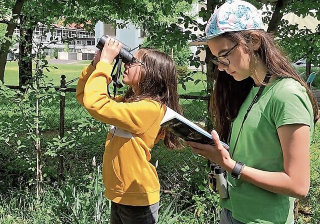 Eine Stunde lang beobachten: Die gesichteten Vögel werden in einem Meldeformular eingetragen. (Bild: zVg/BirdLife Schweiz)