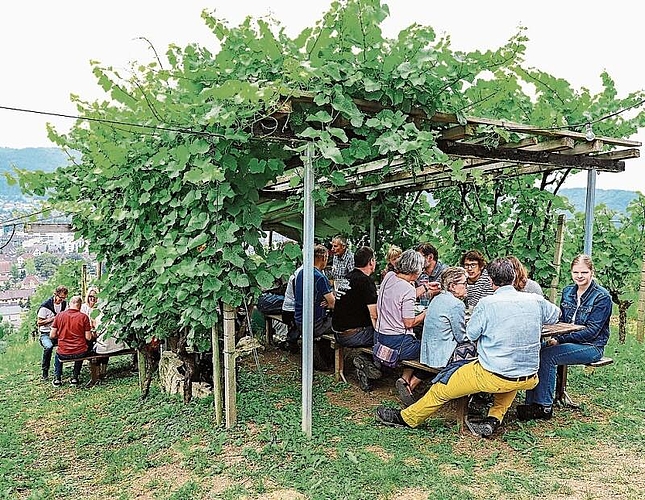 Gemütlichkeit unter der Pergola des Sprützhüsli.gk