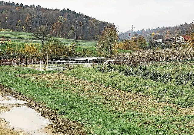 Die von Baden Regio geplante Aushubdeponie im Gebiet Steindler erfuhr 2020 viel Widerstand. Der Ball liegt nun beim Regierungsrat und beim Grossen Rat. zVg