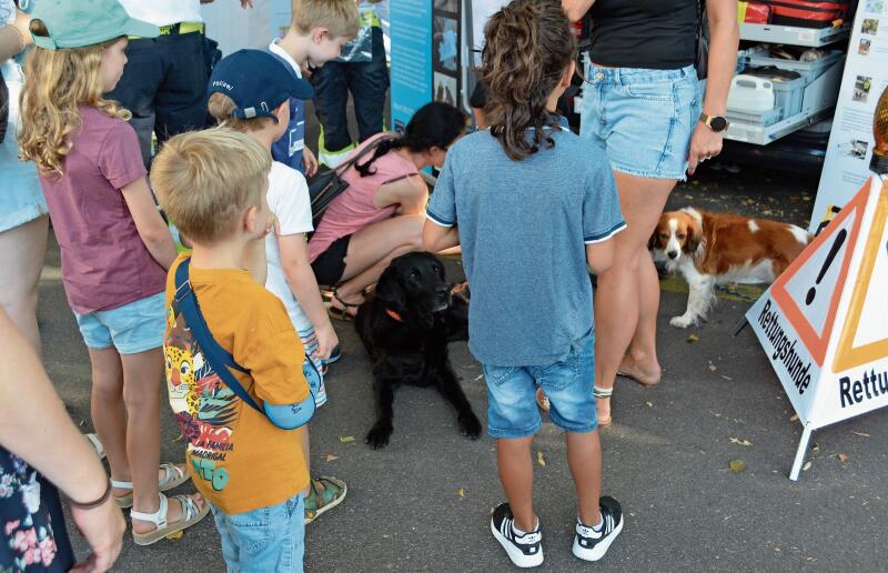 Die Rettungshunde sind bei Kindern beliebt.ihk