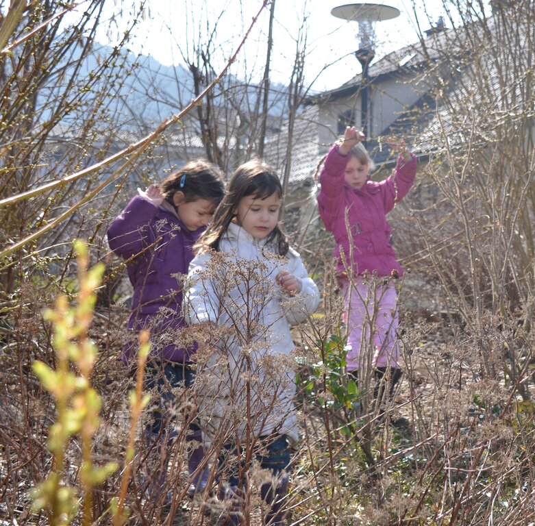 Mit grossem Eifer suchten die Kinder auch im dichten Gestrüpp. Fotos: sw
