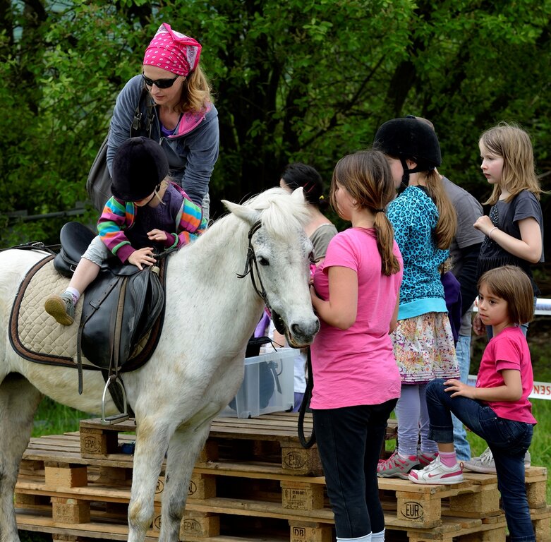 Kleinere Reiter, kleinere Reittiere: Ponyreiten an der Springkonkurrenz.
