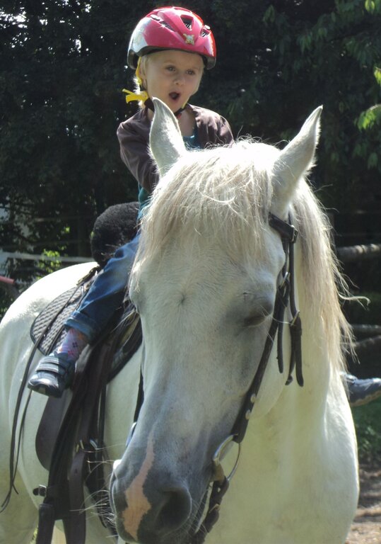 Erste Erfahrungen zu Pferd. Fotos: zVgDie Kinder lauschten Esther Füllemanns Ausführungen über Pferde.